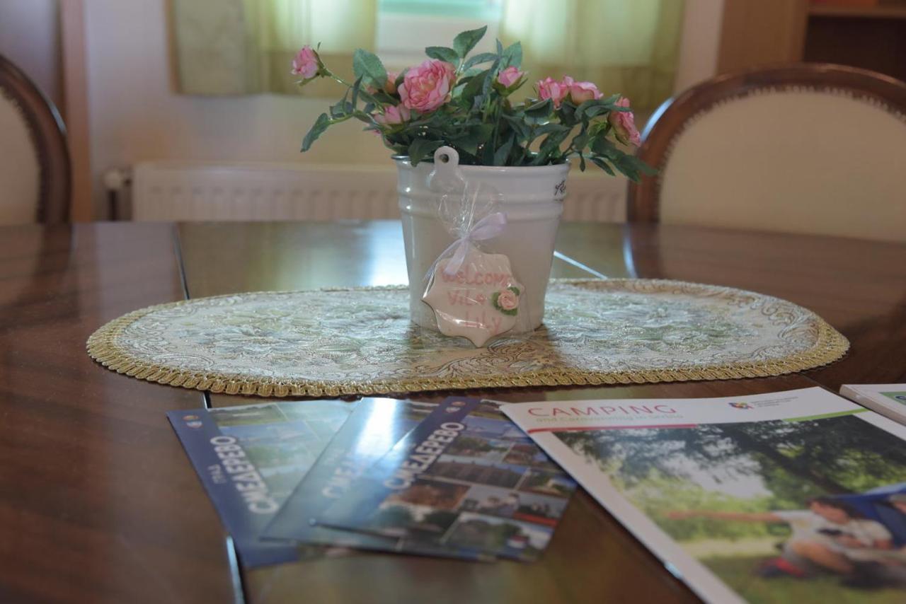 Vila Lily Villa Smederevo Ngoại thất bức ảnh