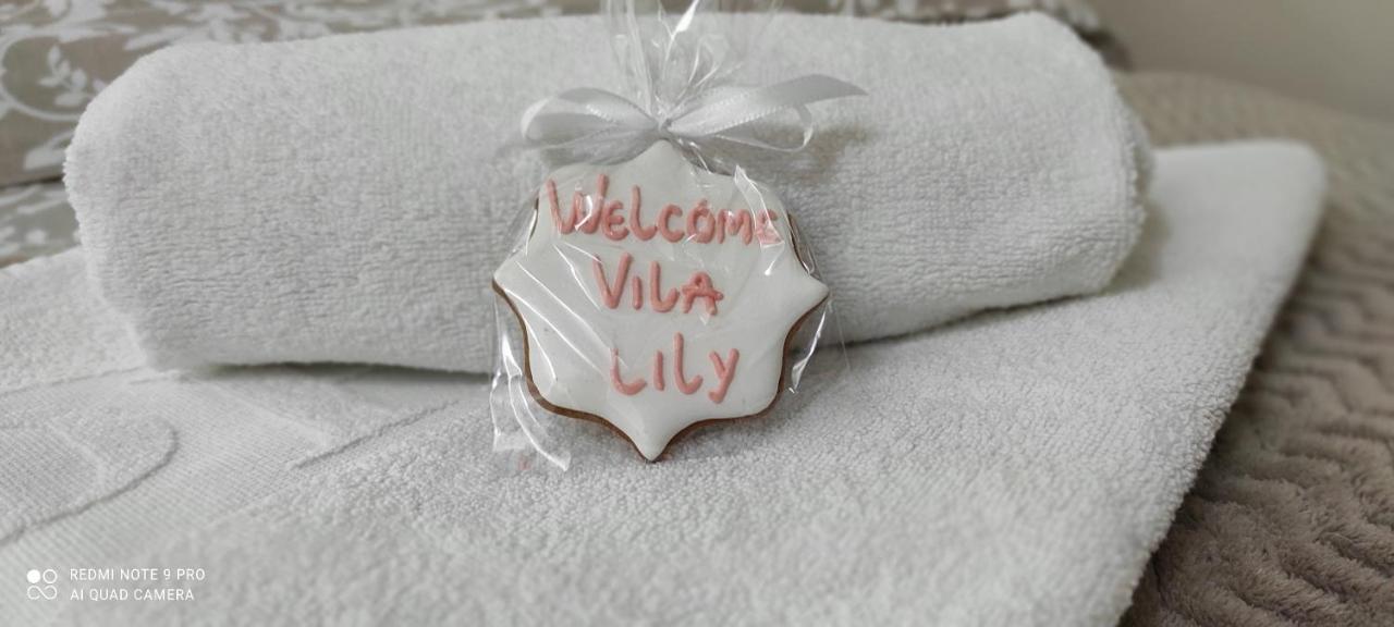 Vila Lily Villa Smederevo Ngoại thất bức ảnh