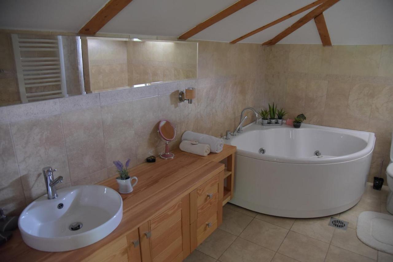 Vila Lily Villa Smederevo Ngoại thất bức ảnh